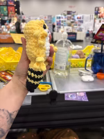 Leopard Gecko - Image 2